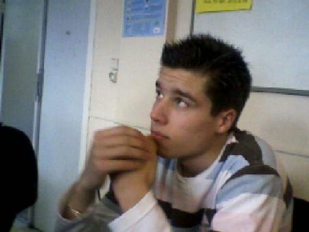 faus bg
